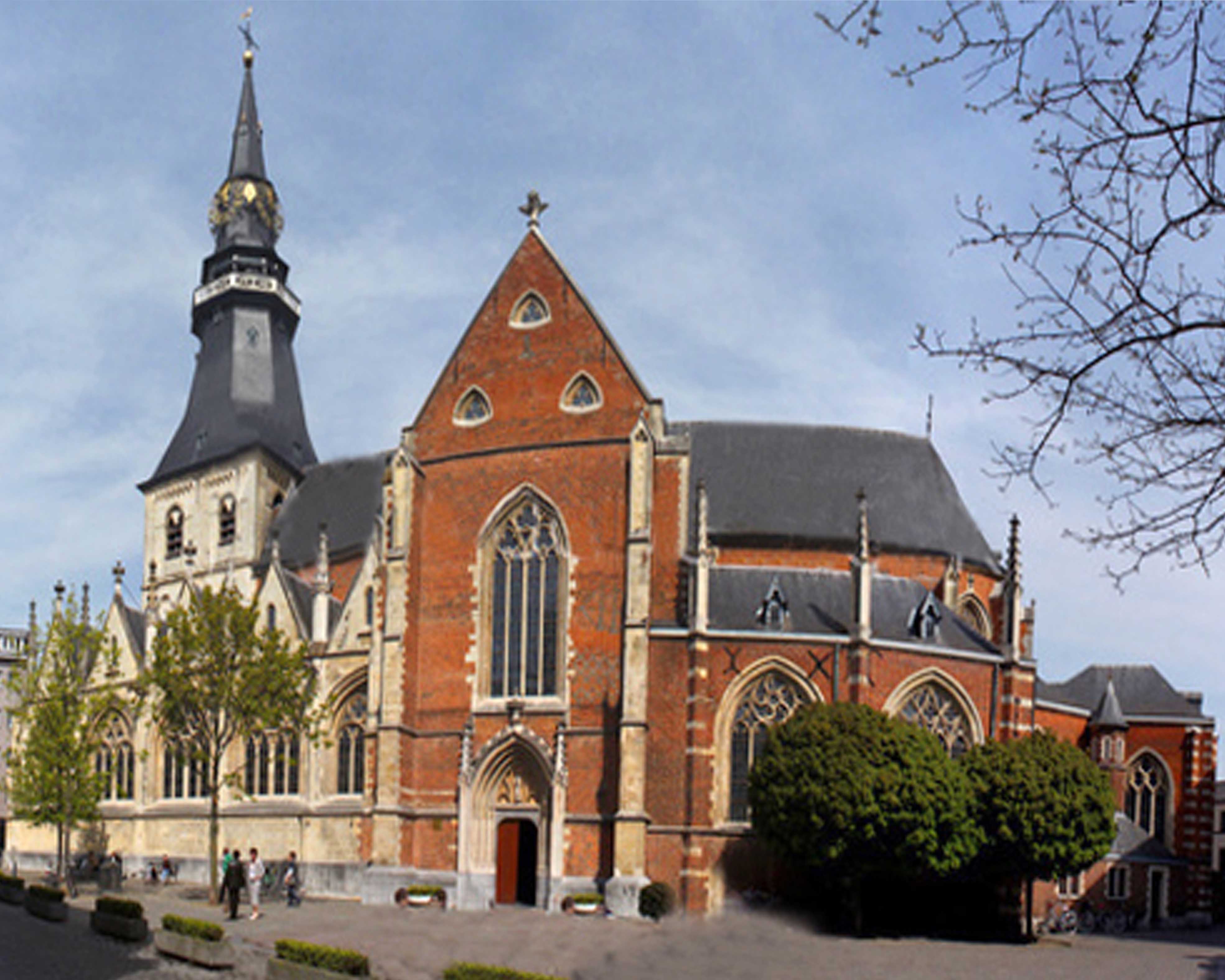 Sint-Quintinuskathedraal van Hasselt.