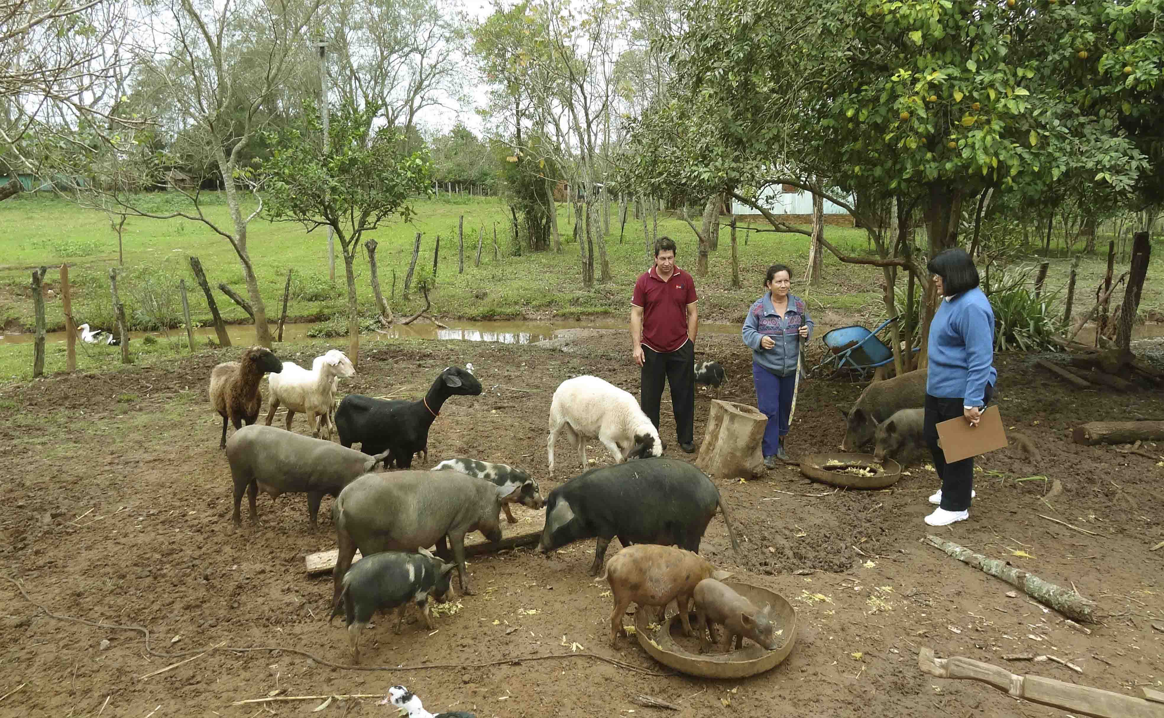 Con dei piccoli allevatori nel Paraguay orientale