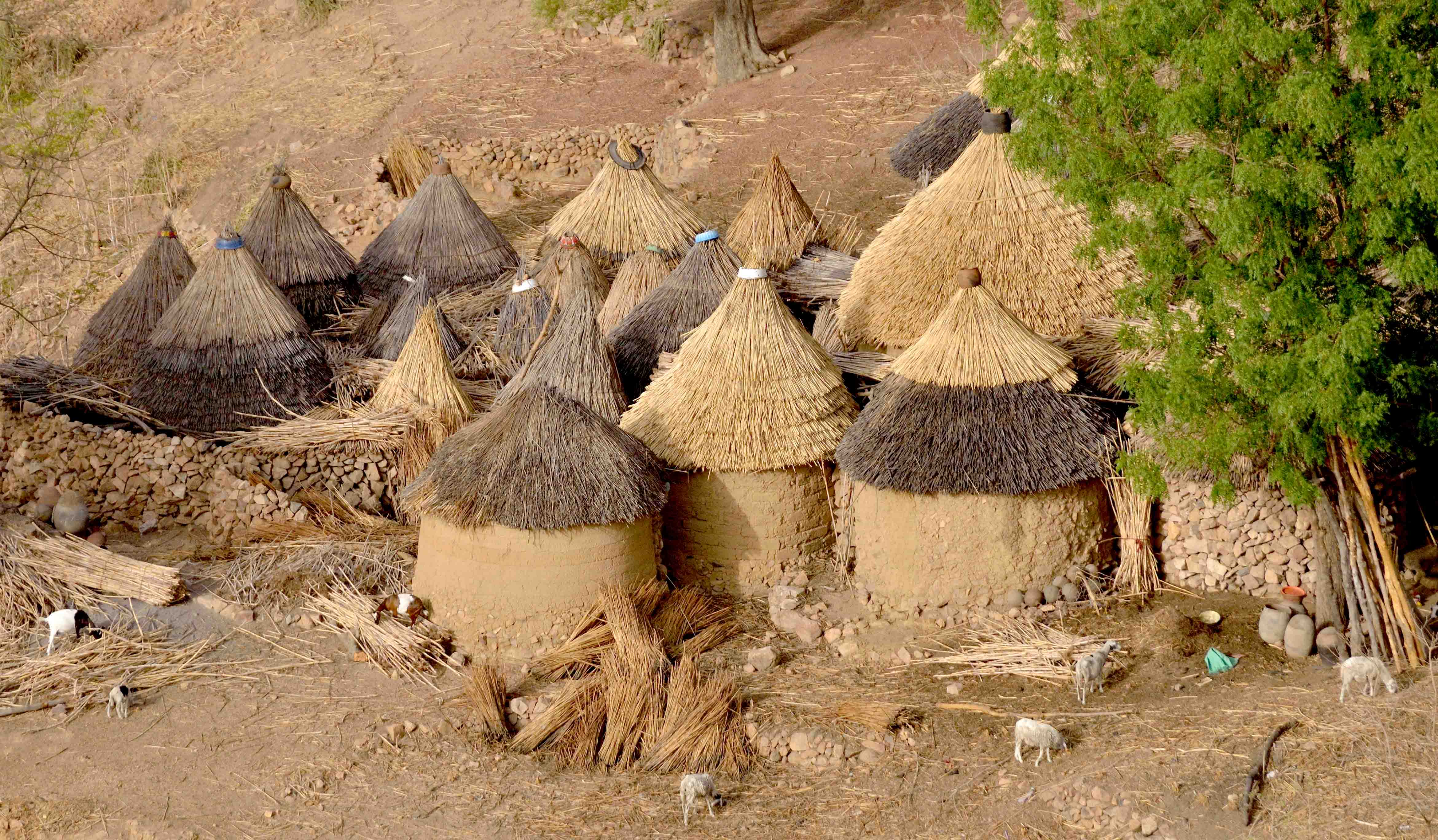 BabaSimon missionnaire 1 shutterstock 2218110011
