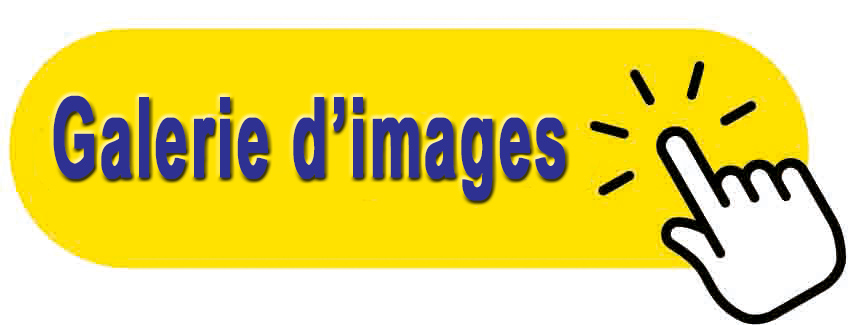 Click shutterstock 1387667651it