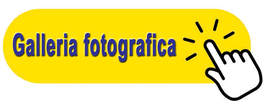 Click shutterstock 1387667651it